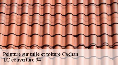 Peinture sur tuile et toiture  cachan-94230 TC couverture 94