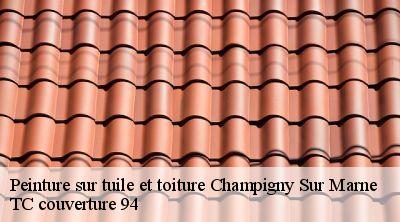 Peinture sur tuile et toiture  champigny-sur-marne-94500 TC couverture 94