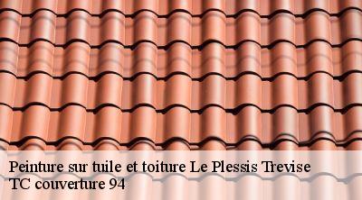 Peinture sur tuile et toiture  le-plessis-trevise-94420 TC couverture 94