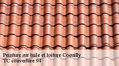 Peinture sur tuile et toiture  coeuilly-94500 TC couverture 94