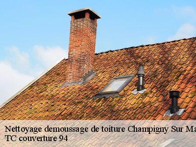 Nettoyage demoussage de toiture  champigny-sur-marne-94500 TC couverture 94