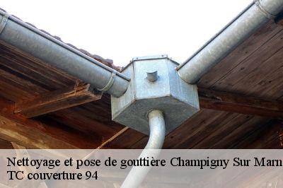 Nettoyage et pose de gouttière  champigny-sur-marne-94500 TC couverture 94